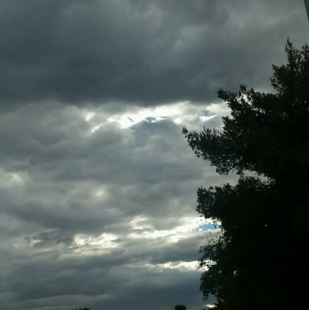 Meet your Posher, Jasmin